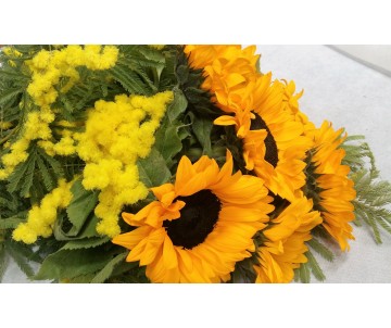Mimosa e 7 girasoli