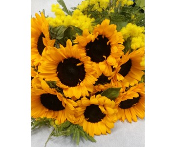 Mimosa e 7 girasoli