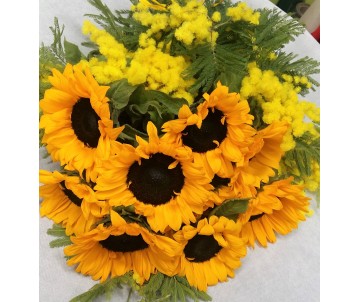 Mimosa e 7 girasoli