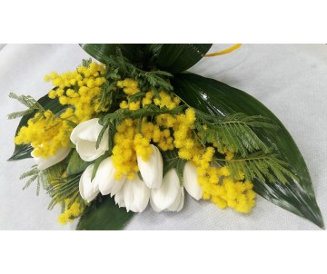 Tulipani e mimosa