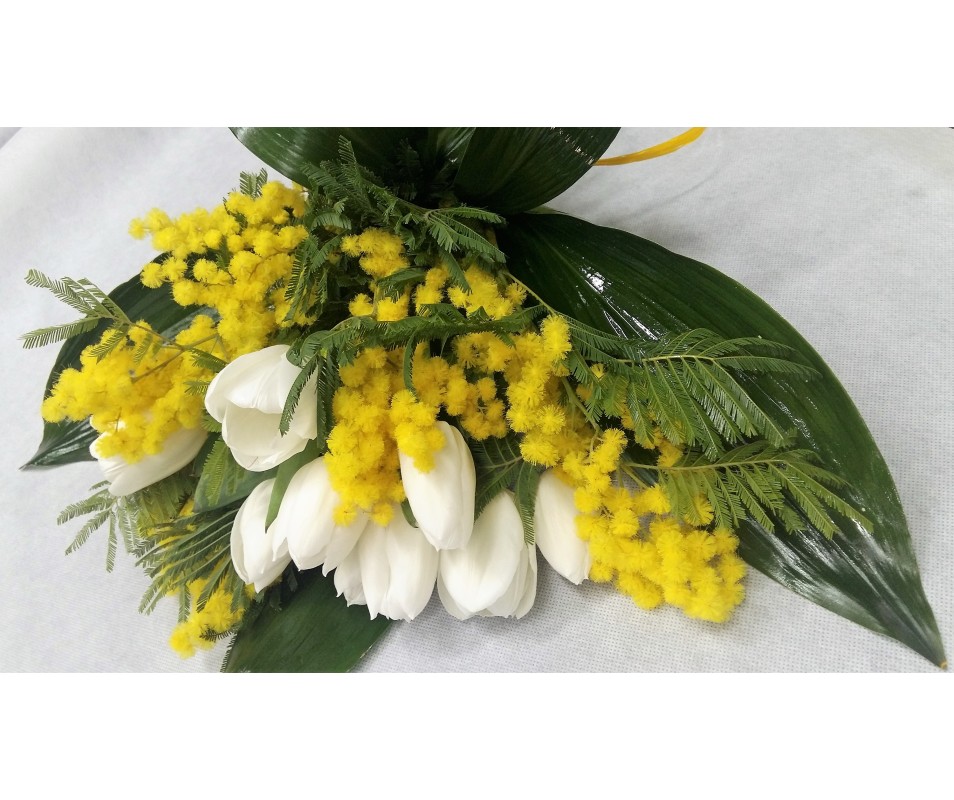 Tulipani e mimosa