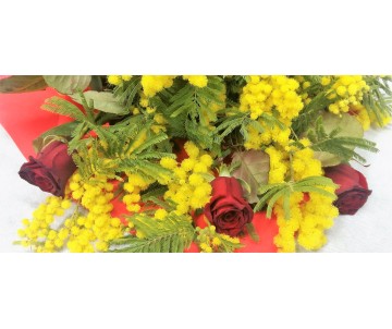Mimosa con 3 rose rosse