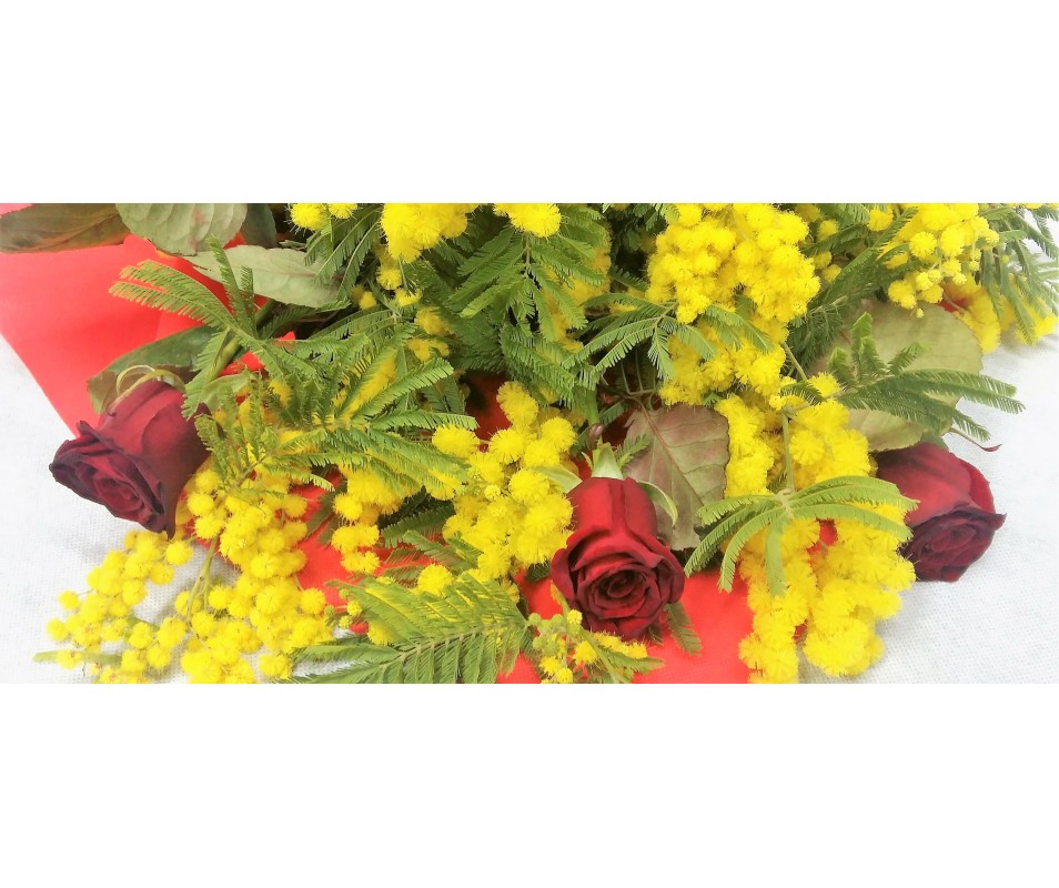 Mimosa con 3 rose rosse