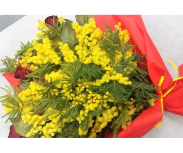 Mimosa con 3 rose rosse