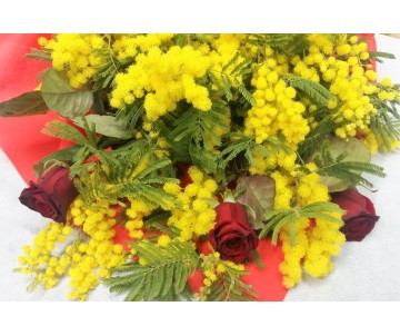 Mimosa con 3 rose rosse