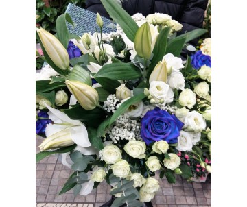 Armonia in bianco e blu