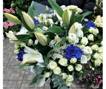 Armonia in bianco e blu