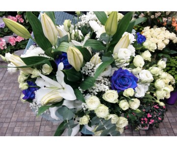 Armonia in bianco e blu