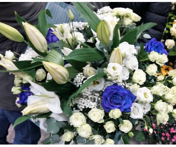 Armonia in bianco e blu
