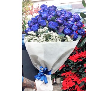 30 Rose Blù