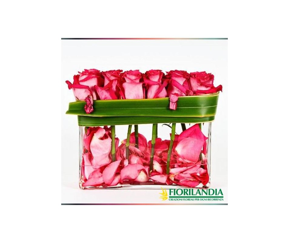 Vegetativo di rose