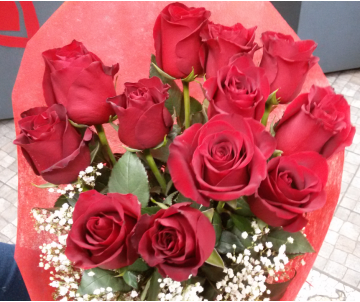 12 rose rosse