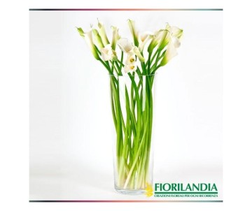 Fiore in vetro calla bianca