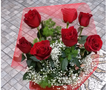 7 rose rosse