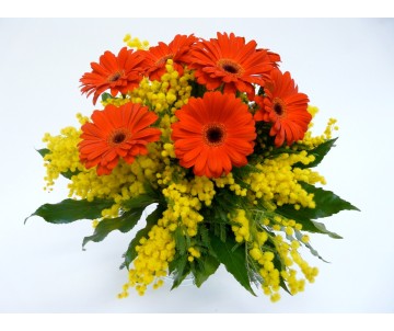 Mazzo di gerbere rosse e mimosa con verde di stagione
