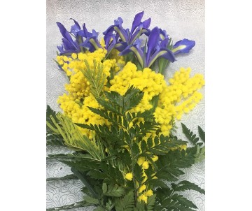Mazzo di iris blu e mimosa con fiocco