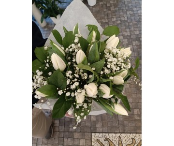 Bouquet di tulipani bianchi e gisofila