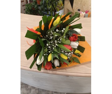 Tulipani misti colorati