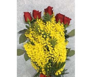 Mimosa con 5 rose rosse