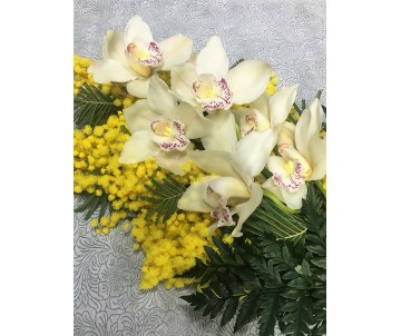 Ramo di Cymbidium con mimosa