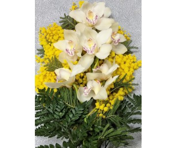 Ramo di Cymbidium con mimosa