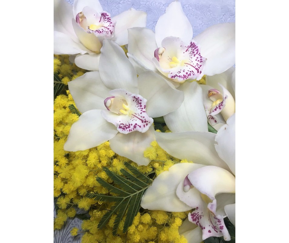 Ramo di Cymbidium con mimosa