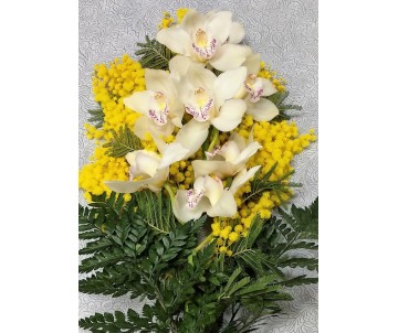 Ramo di Cymbidium con mimosa