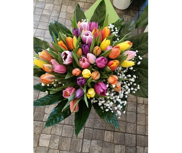 Mazzo di 50 tulipani colorati