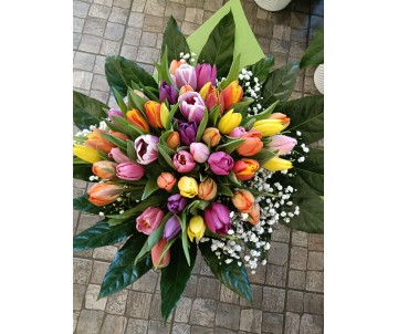 Mazzo di 50 tulipani colorati