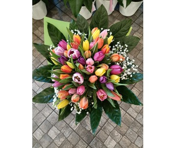 Mazzo di 50 tulipani colorati