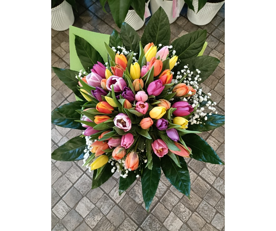 Mazzo di 50 tulipani colorati