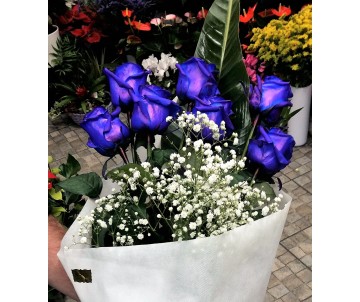 7 rose blu