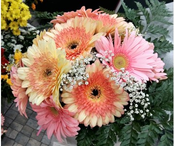 Bouquet Dania