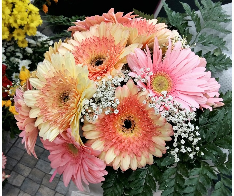 Bouquet Dania