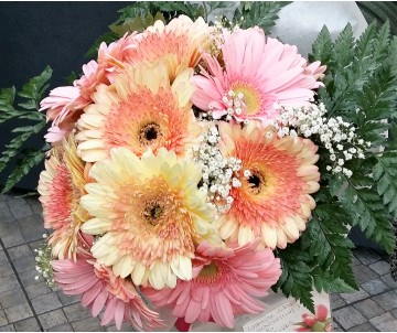 Bouquet Dania