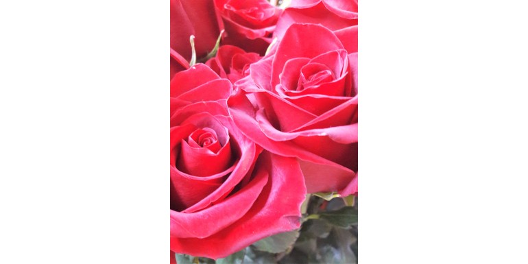 San Valentino con fiori recisi a Milano e zone limitrofe