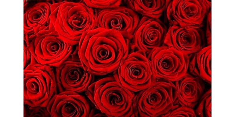 Fiori per San Valentino Consegna Fiori a domicilio Milano