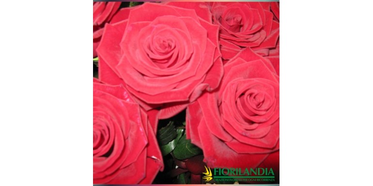Regalare fiori per i 18 anni