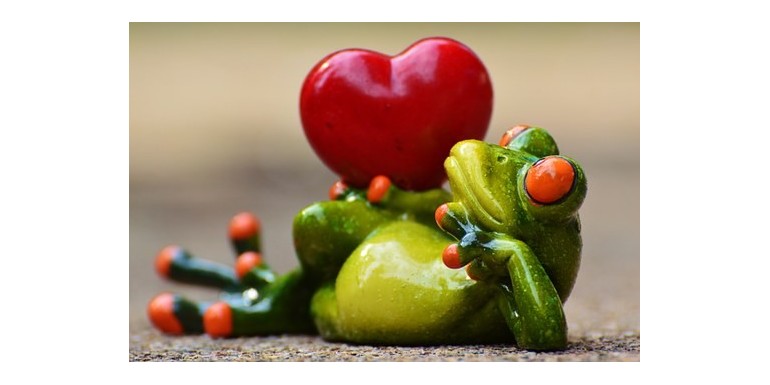 Fiori a forma di cuore per San Valentino