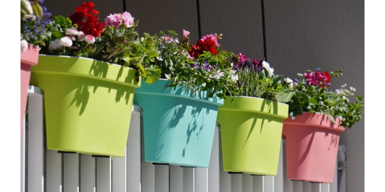 I migliori fiori per balconi e terrazze a Milano