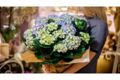 Dove comprare un mazzo di fiori enorme a Milano Dove comprare un mazzo di fiori enorme a Milano