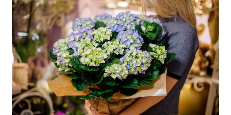 Dove comprare un mazzo di fiori enorme a Milano