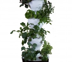 Hydroponic-Tower.jpg