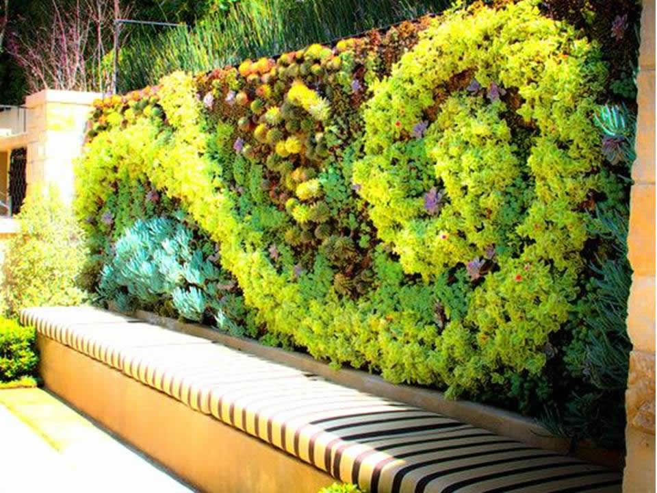 Come Creare un Giardino Verticale Fai Da Te