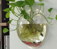 hogar-Planta-de-Maceta-Colgante-de-Pared.jpg