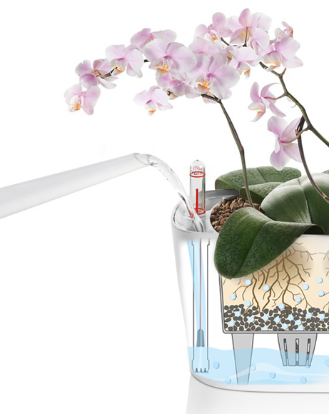 idrocoltura-indicatore-livello-acqua-orchidea.jpg