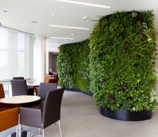 jardin-vertical.jpg
