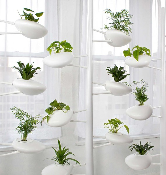 piante-coltura-idroponica-idea-design.jpg
