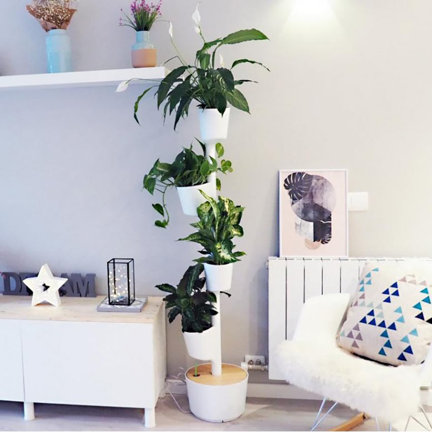 piante-idrocoltura-in-casa-idea-giardino-verticale.jpg